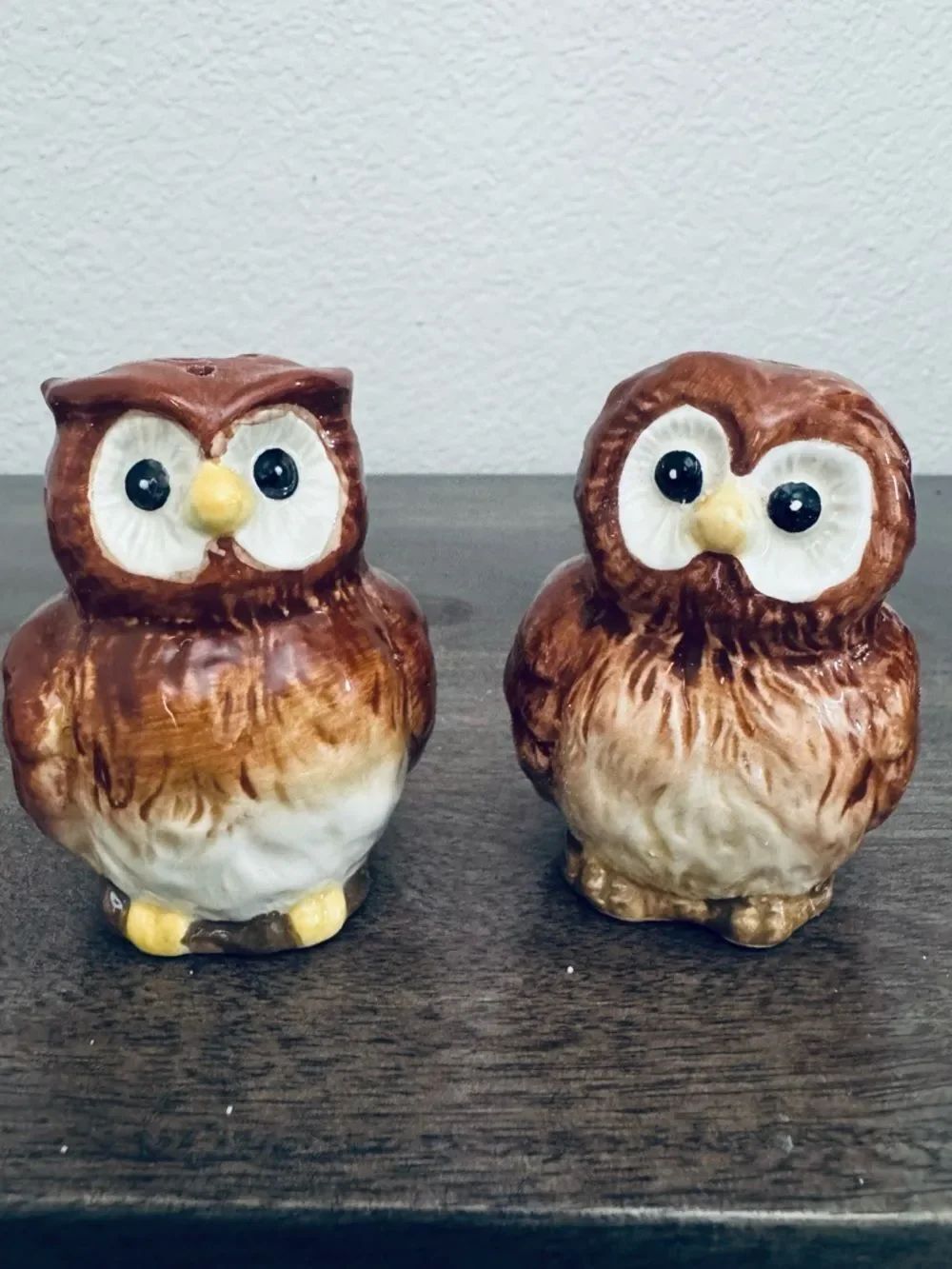 Vintage Owl Ceramic Salt & Pepper Shakers Set